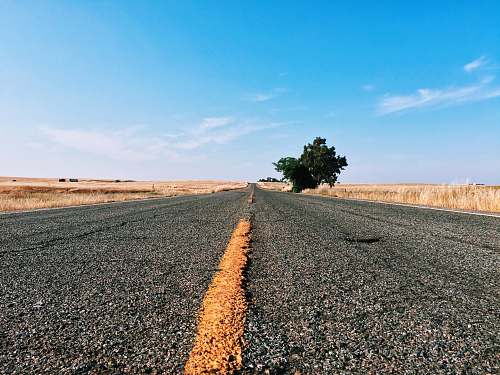dirt road photography of road pavement with tree gravel